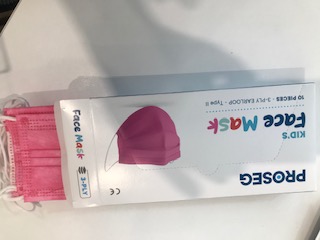 Wexta 10lu Çocuk Meltblown Filtreli 3 Katlı Telli Pembe Çocuk Maskesi