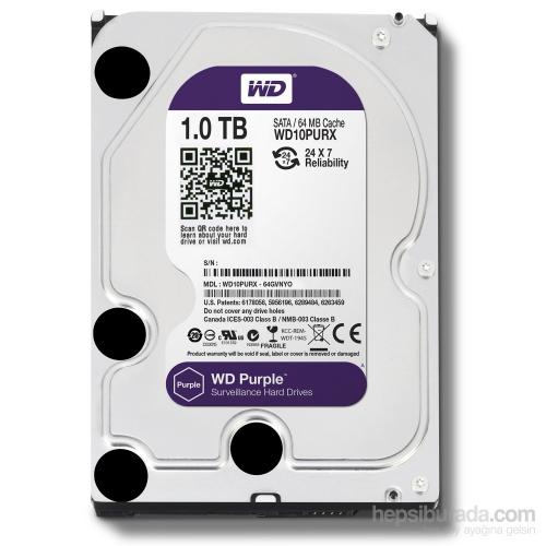 Wd